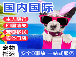 满洲里航空运输国际宠物托运 【国